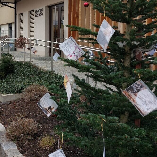 Bestattung_Haselböck_Adventskalender für Trauernde_Spenden